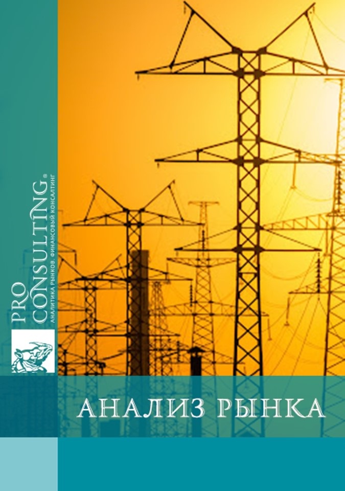 Аналитическая записка по рынку электроэнергетики в Украине. 2024 год